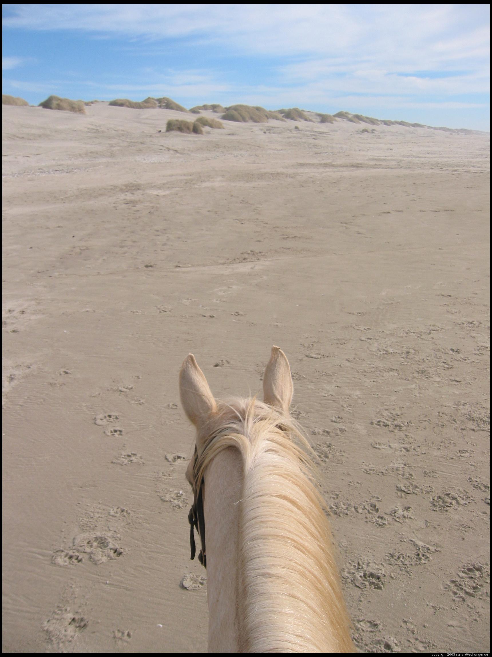 Riding on the beach, Oregon dunes near Florence, OR