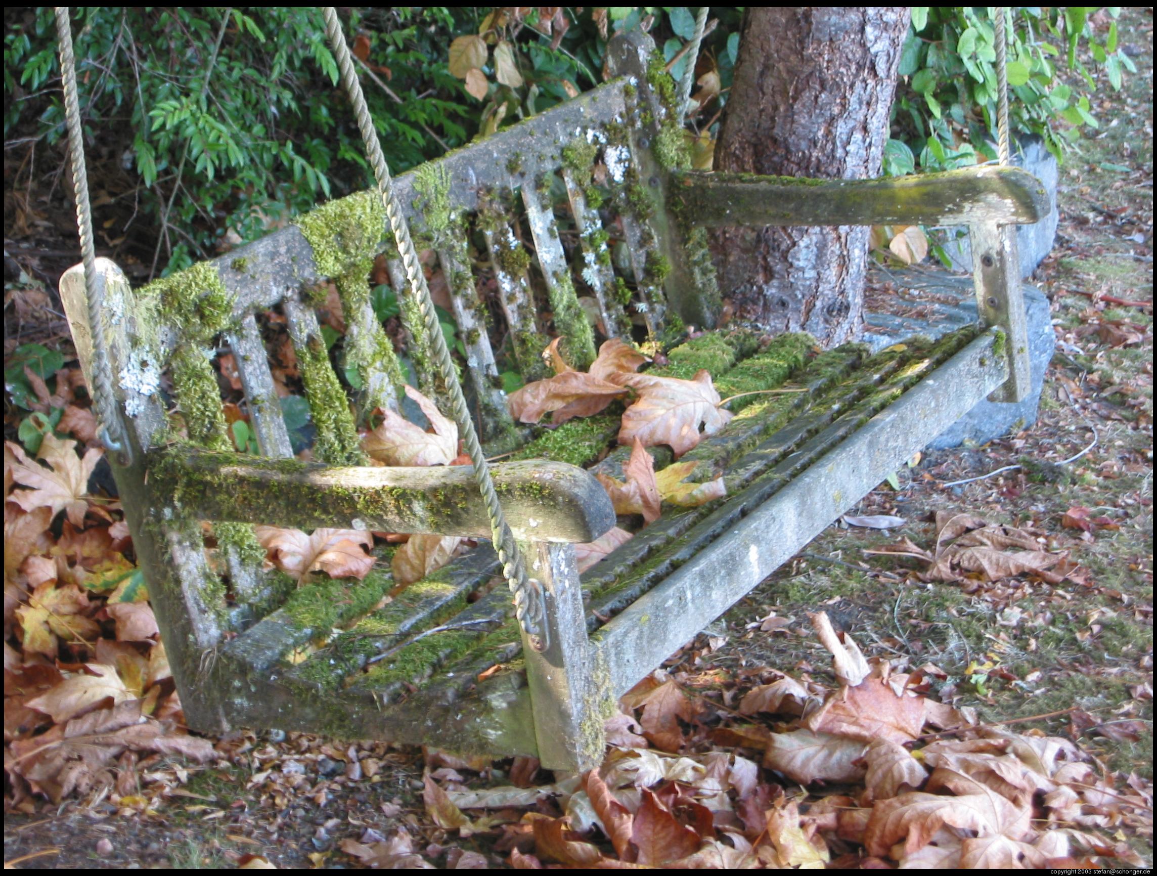 Fall, bench, Gig Harbor, WA