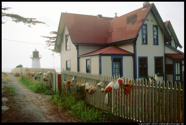 Point Montara. CA, August 2000