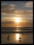 Evening on the beach, Oregon