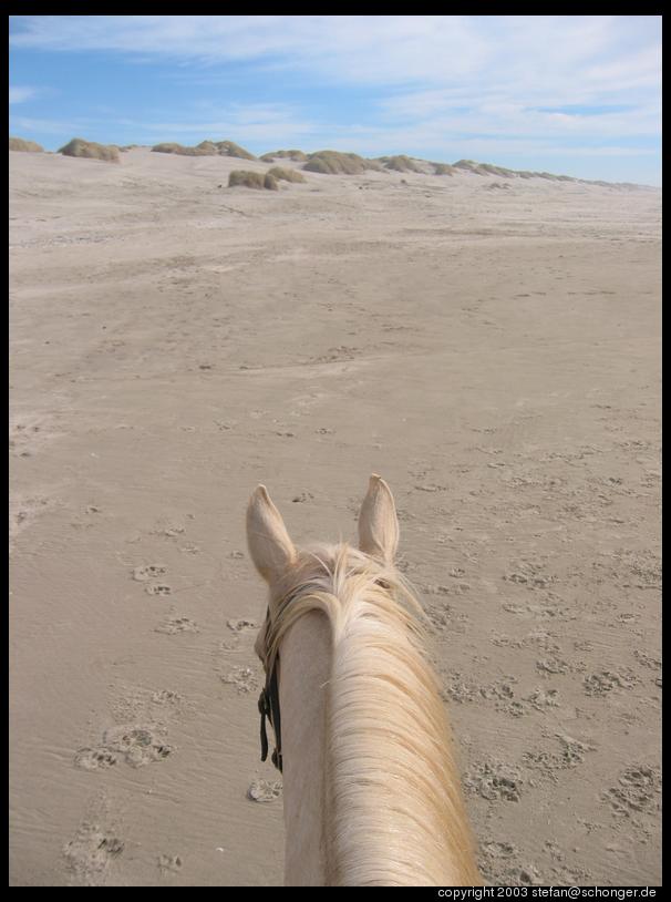 Riding on the beach, Oregon dunes near Florence, OR