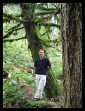 Mossy tree, Alice Lake Provincial Park