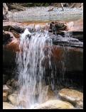 Small waterfall from a log, Shannon Falls Provincial Park, BC