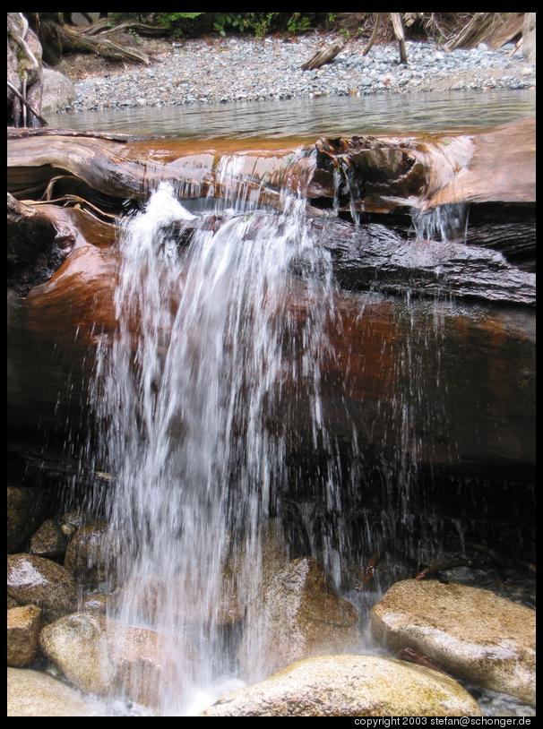 Small waterfall from a log, Shannon Falls Provincial Park, BC