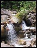 Small waterfall from a log, Shannon Falls Provincial Park, BC